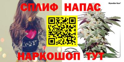 спиды Обь