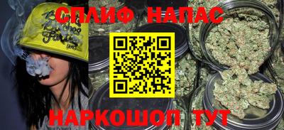 спиды Обь