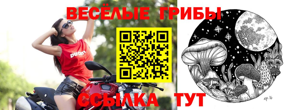 Галлюциногенные грибы Cubensis Энгельс